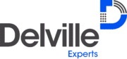 thumbnail delville experts logo